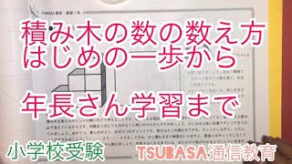 積み木の数の数え方 はじめの一歩から年長さん学習まで 小学校受験