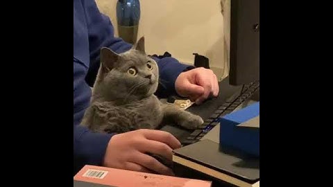 Making Sure my Employees are not Slacking off at Work