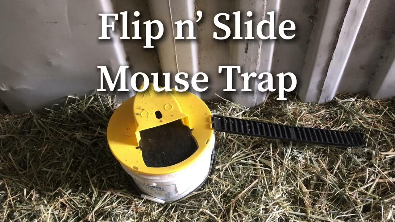 RinneTraps Flip N Slide Mouse Trap