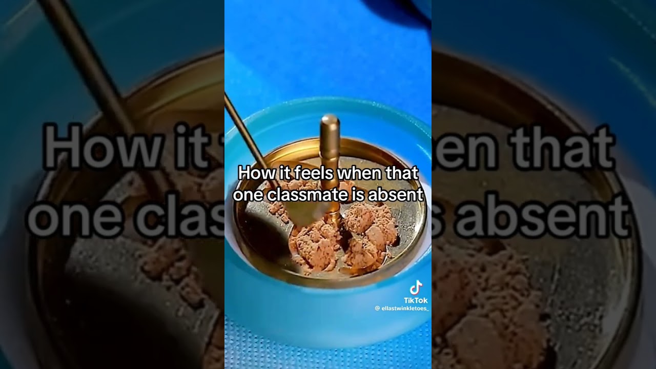 How it feels when that ONE classmate is absent 