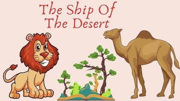 The Ship of The Desert : Story