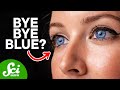 Are Blue Eyes Endangered?