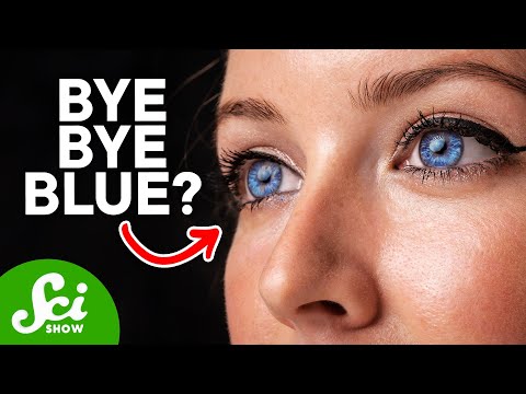 Video: Is het blauwe oog-gen recessief?