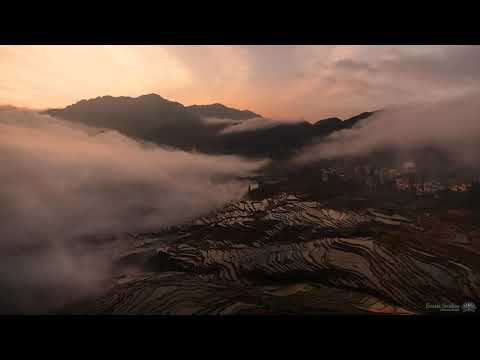 Above the Clouds 4K | Yuanyang Rice Terraces in China | STAFF PICK