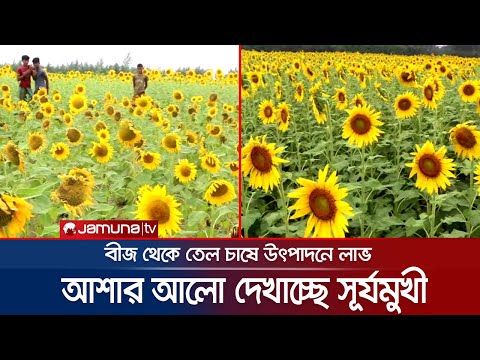 ভিডিও: ওয়াগনের চাকার সেট। রেলওয়ে ওয়াগনের চাকা সেটের ত্রুটি