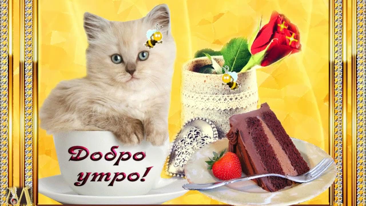 Открытки доброе утро. Открытки с добрым. Открытки с добрым утром. Открытки доброе утро. Пожелания с добрым.