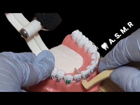 한국어🦷ASMR_ 치과 상황극_ dental roleplay_  生き生きとした歯科ロールプレイ
