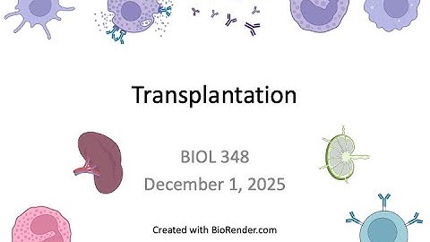 Immunology Fall 2025: Lecture 33 Transplantation