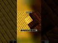best minecraft build hacks,minecraft viral tiktok build hack,testing viral minecraft hacks that are