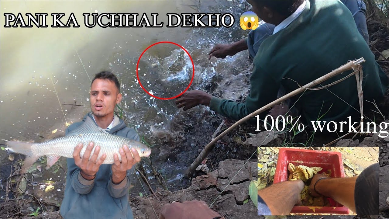 Rohu Fish Special Bite ll Rohu Fish Catching 😱