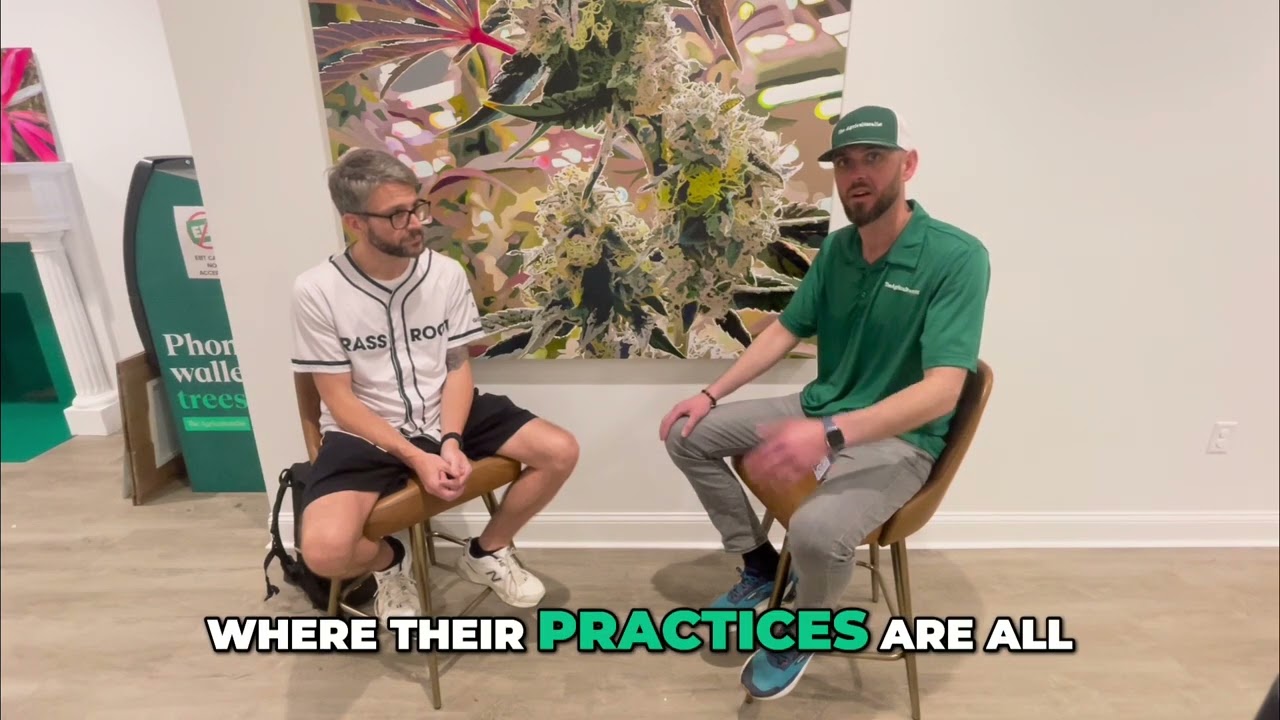 Curaleaf  Big Cannabis Brand That Feels Like a Local Gem!