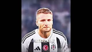 Picardi. Immobile Şfet Şfet