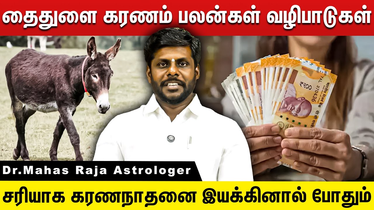இதுவரை வெளிவராத தைதுலம் கரணம் வழிபாடுகள் | தைதுல கரணத்தின் சிறப்பு! | Dr.Mahas Raja Astrologer