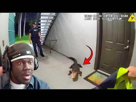 Florida Police Tried Using A Jacket To Catch A Angry Gator...It Failed!