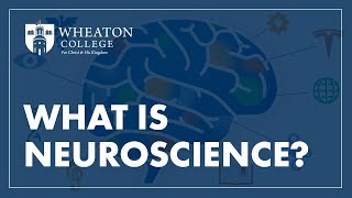 What is Neuroscience?