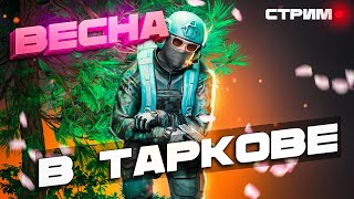 НОВЫЙ ПАТЧ! БТР В ЛЕСУ, ВЕСНА В ТАРКОВЕ| Читаю 99% Чата #тарков