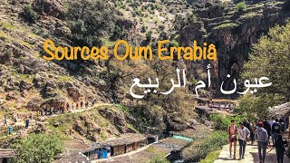 ayoun oum rabii  عيون ام الربيع  /sourcces Oum Errabiâ\ (khénifra) Morocco