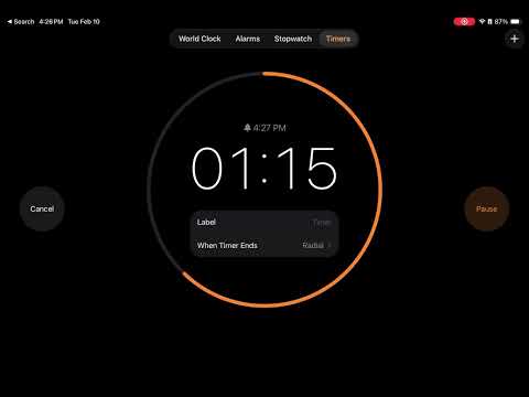 2 Minute Timer-Radial