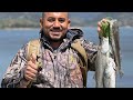 ✅La llamada de la suerte🔥 Castaic lake CA, striped bass (Rayados)