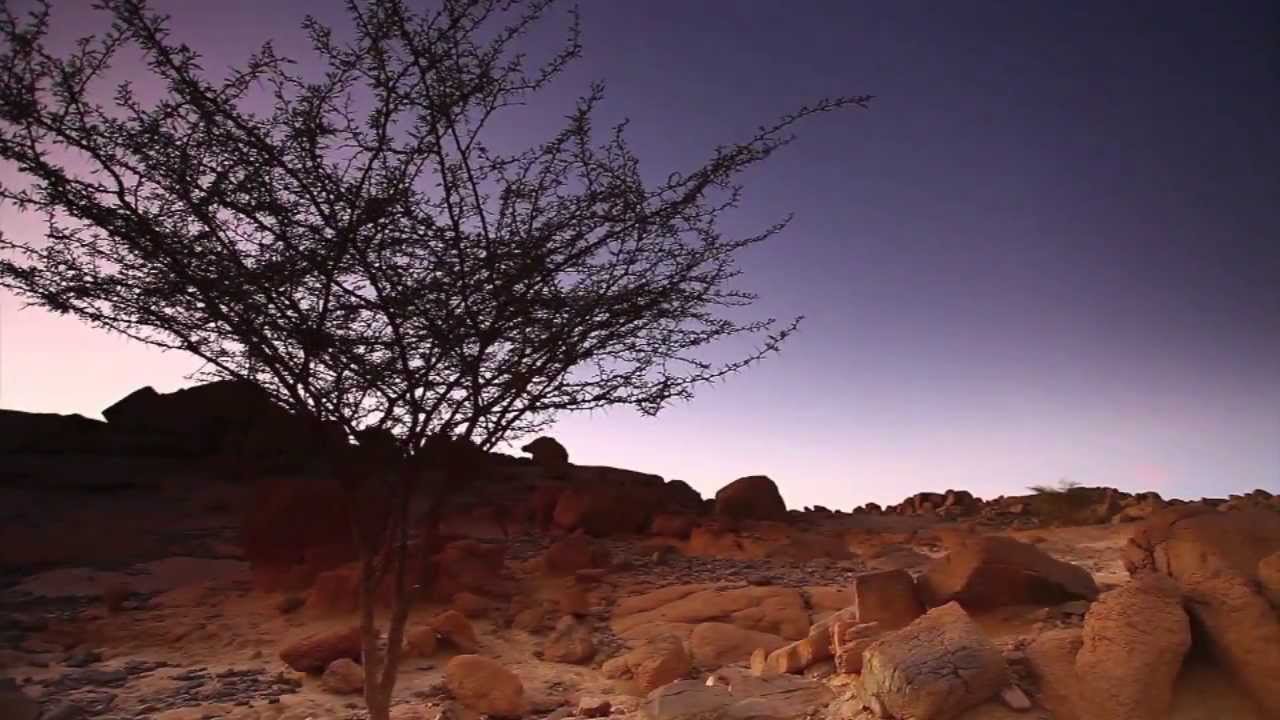 BORISLAV STRULEV AND YAACOV MAYMAN - CARAVAN ARR. BY G. PRITSKER