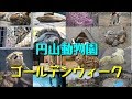 GWの円山動物園 の動画、YouTube動画。