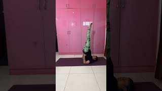 Sarvangasan(supported shoulder stand pose) #queen #of #all #poses #sarv(all) #ang(body) #asana(pose)