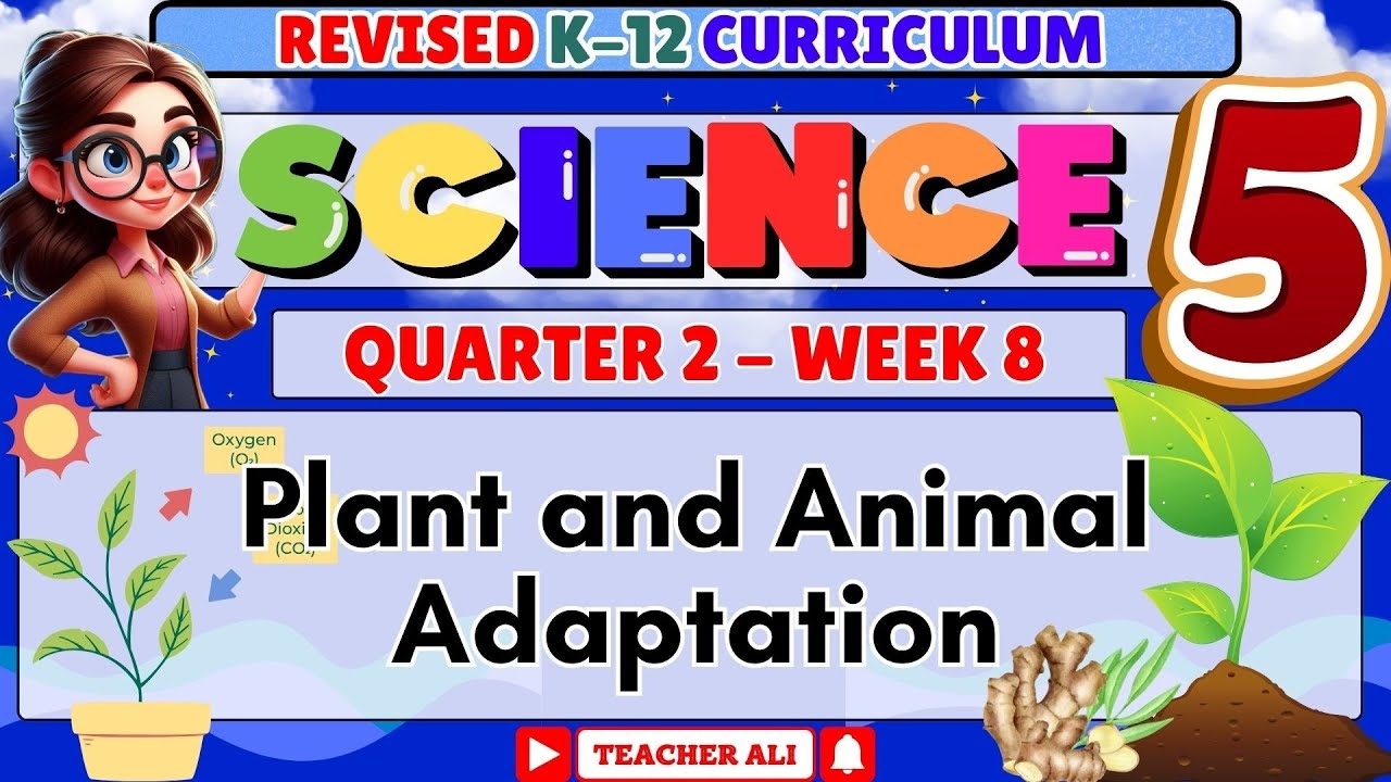 SCIENCE 5 QUARTER 2 WEEK 8 REVISED K-12 - YouTube