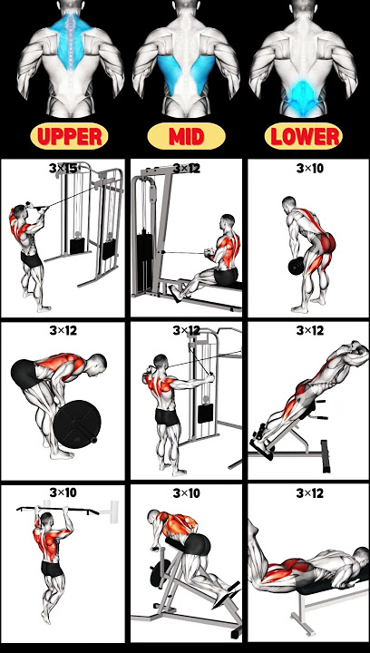 Top 9 Back Exercises to Build Strength and Size in the Gym #workout #backexercise