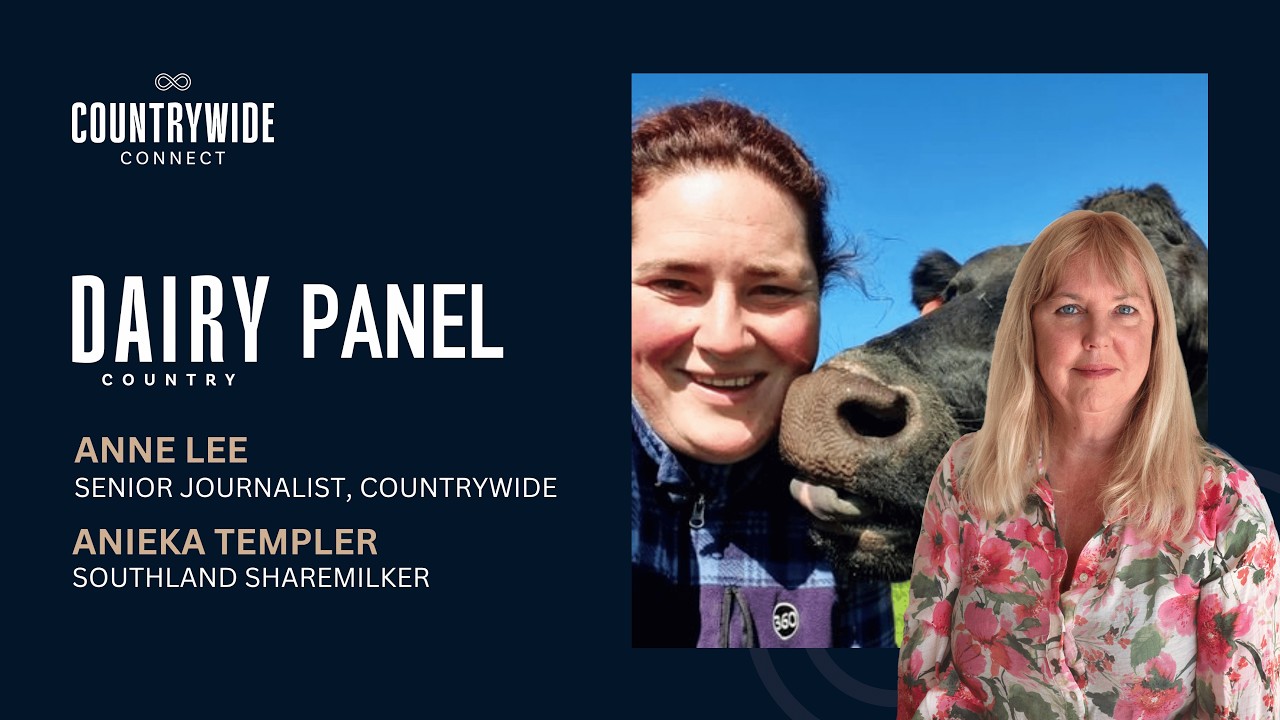 AI collar tool sorts non-cycling cows for mating | Anieka Templer, DAIRY Country Panel