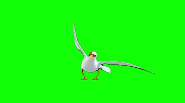 Gmod seagull dancing meme Green Screen