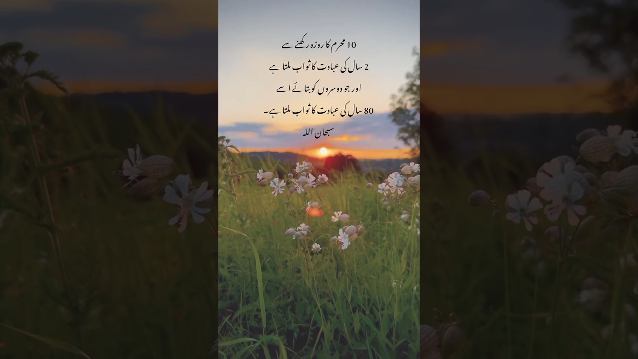 10 Muharram Ka Roza✨🖤