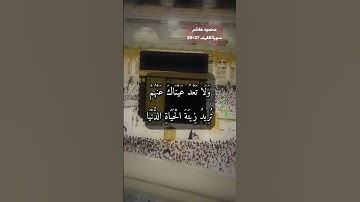 سورة الكهف الاية 27-28