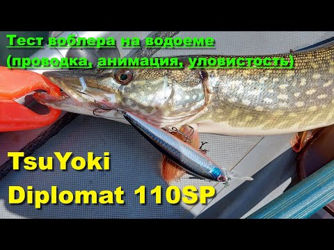 TsuYoki Diplomat 110SP - тест воблера на водоеме (проводка, анимация, уловистость)