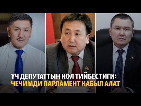 Video: Кантип депутаттын жардамчысы болуп жумушка орношсо болот