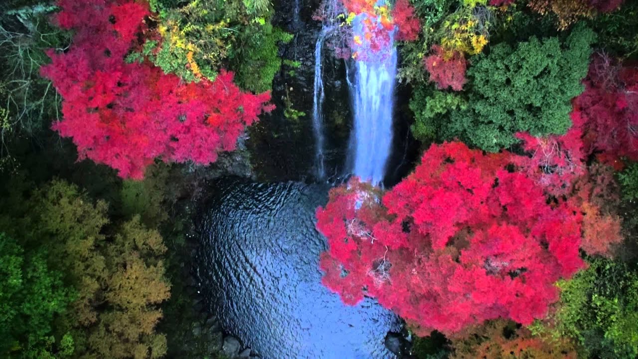 箕面 みのお って 産業用ドローンメーカー エアロジーラボ Agl