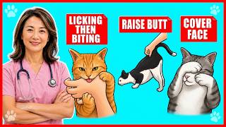 Real Meanings Behind 9 Strange Cat Behaviors Explained Real Meanings Behind 9 Strange Cat Behaviors Explained