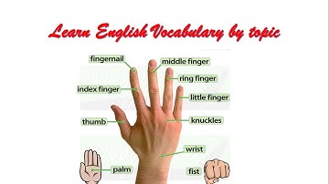 Cùng học từ vựng Tiếng Anh với bàn tay 5 ngón.