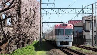 桜と京王井の頭線