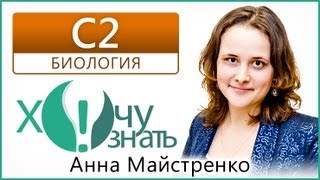C2 - 13 по Биологии Подготовка к ЕГЭ 2013 Видеоурок C2 - 13 по Биологии Подготовка к ЕГЭ 2013 Видеоурок