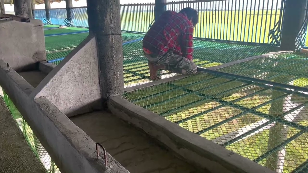 POULTRY 2 patapos na