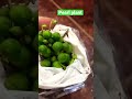 #unboxing #online #plants #amazon #beautiful #indoor #green #pearl #best #succulant #house #decor 🪴