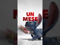 Lilo & Stitch | Dal 21 Maggio al Cinema