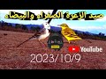 صيد عصفور الزعرة الصفراء والبيضاء 2023 صيد عصفور الزعرة الصفراء والبيضاء 2023