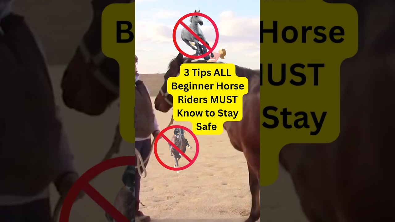 Horse Safety Tips Beginners MUST Learn #horseshorts #shorts #horsebackrider