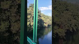 Sobee un puente río arriba en Pontevedra entre arbolitos 🌲 ❤️ #shorts #naturaleza #españa