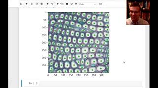 CS 271: Fast Plant Cell Image Segmentation Using Depth-First Search