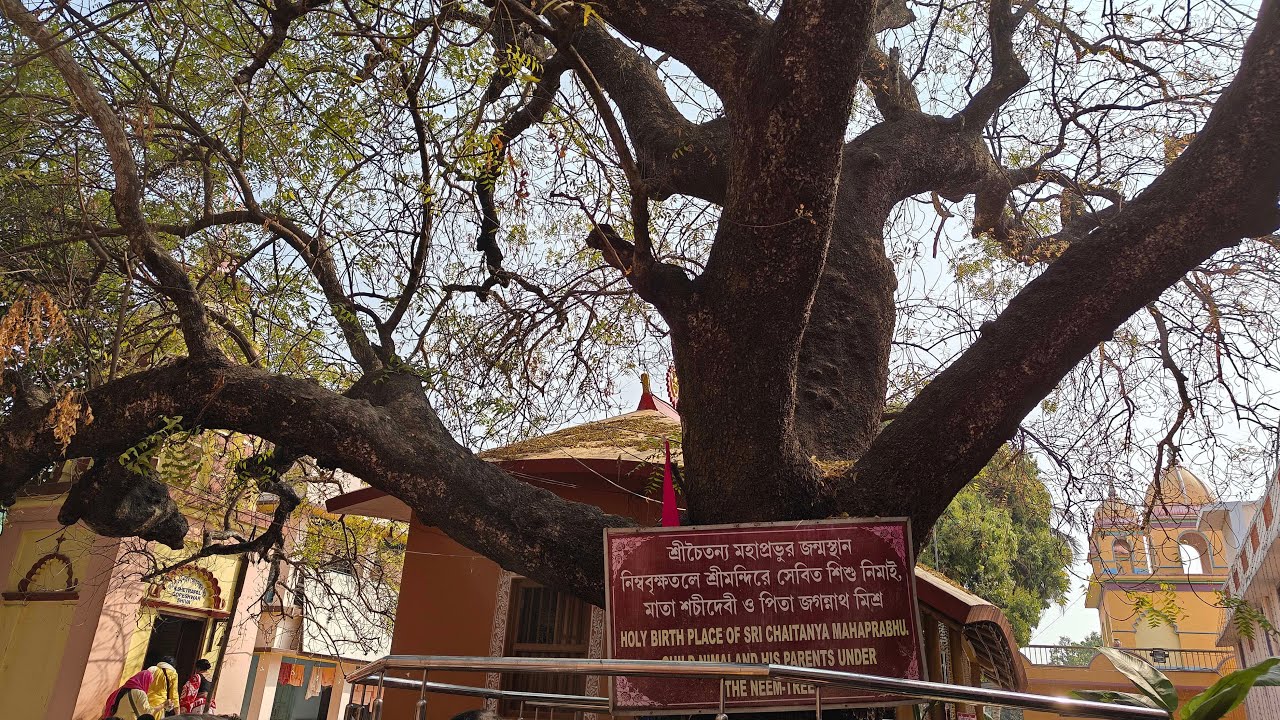 Day 2 Sri Nabadwip Dham Parikrama 2026 |  Visiting sacred Birthplace of Sriman Chaitanya Mahaprabhu