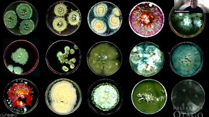 Fungal Foray 2022 - Pauline Cervantes