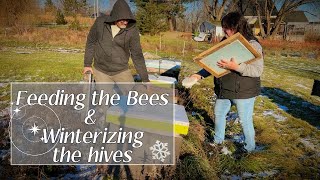 Winter Beehive Feeding: How to Make Bee Fondant &  Prepping the Hives for winter survival. screenshot 5