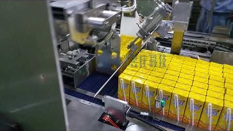 Wrap around case packer-T12